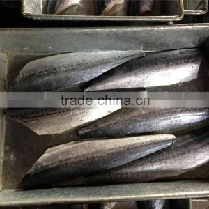 Frozen Spanish Mackerel Fillet in Carton IQF thumbnail-6