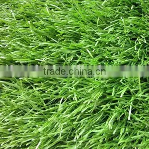 Fake Grass for Leisure thumbnail-1