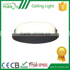 Delicated Appearance Ip65 Led Ceiling Light thumbnail-3