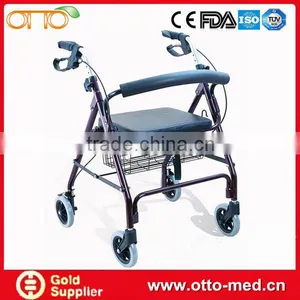 Rolling Walker thumbnail-1