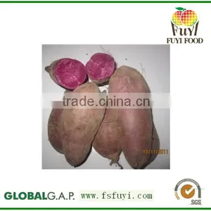 2015 China 100% Fresh Sweet Potato Rich in Fiber thumbnail-3