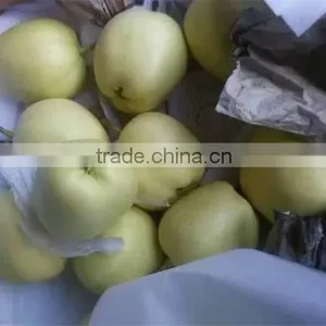 2015 New Crop Fresh su Pear With Good Quality White Pears Fresh Juicy Pears thumbnail-4