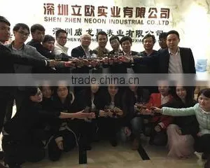 Shenzhen Neoon Industrial Co., Ltd. company overview - view 1 thumbnail
