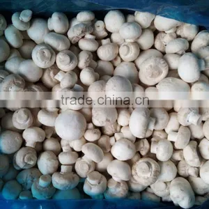 Hot Sell Fresh Frozen Mushroom thumbnail-1