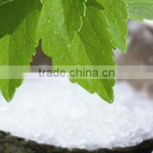 Stevia Powder thumbnail-1
