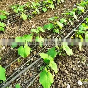 Micro-spary Series Irrigation Machinery From VODAR thumbnail-3