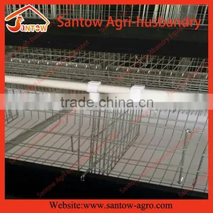 Automatic Chicken Egg Layer Cages Poultry Cage Battery Cage System for Sale thumbnail-3
