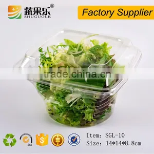 PET Transparent Plastic Vegetable Salad Clamshell Container thumbnail-2