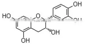Green Tea Extract (-)-Epicatechin 90%,95%,98% thumbnail-2
