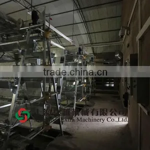 Automatic A Type Broiler Battery Cage thumbnail-1