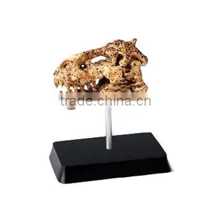 Mid Dinosaur Skull Dig Kit With Stand, 6 Assorted, 24pcs per Display. thumbnail-4