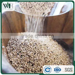 Reliable Pakistan White Sesame Supplier thumbnail-5