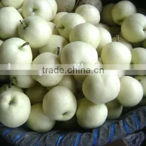 Fresh Fruit Emerald Pear With Good Price for Exporting thumbnail-5
