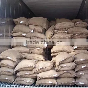 Chinese Fresh Chestnut thumbnail-1