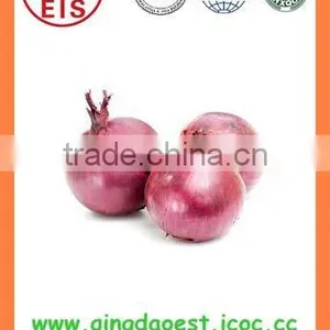 Fresh New Crop Red Onion PRODUCTS From China thumbnail-5