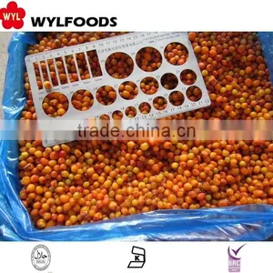 IQF China Price for Frozen Sea Buckthorn High Quality thumbnail-2