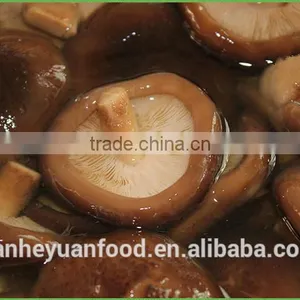 Good Quality Canned Shiitake Mushroom thumbnail-2