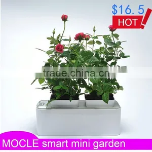 Flower Vase With Holes thumbnail-1