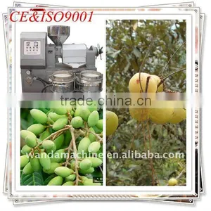 High Quality and Reasonable Price Combined Oil Press 6YL-120A thumbnail-5