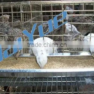 TAIYU Cage for Quail Farm thumbnail-1