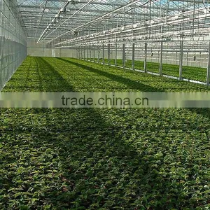 China Made and Best Economical Roofing Materials Hurricane-proof for Poultry Houses thumbnail-4