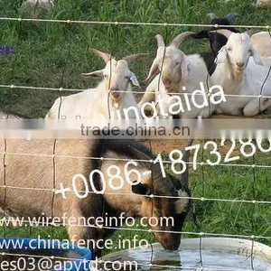 Wire Mesh Fence/cattle,Horse,Sheep,Chicken Grassland Fence/pig Farming Equipmen thumbnail-2