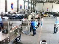 Corn Puff Snack Twin Screw Extruder Machine With High Output thumbnail-3