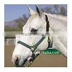 Horse Halter thumbnail-1