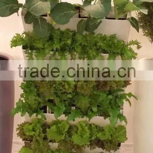 Green Wall Flower Pot thumbnail-3