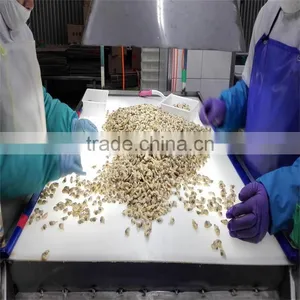 Fresh Frozen Boiled Clam Variety Shell-On thumbnail-3