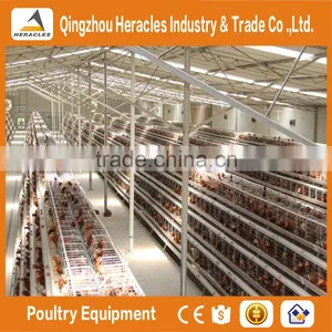 Qingtzhou Heracles High Quality Poultry Egg Layer Chicken Cage Price thumbnail-4