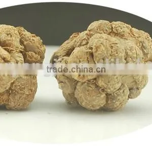 Organic Panax Notoginseng / Pseudo-ginseng /San qi /Sanchi Powder P. E. Herbal Dietary Supplement 3 Years Gro thumbnail-2