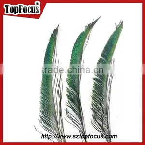 Cheap Down Raw Material Green Natural Peacock Feather for Sale thumbnail-3