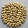 Peanut With Shell thumbnail-1