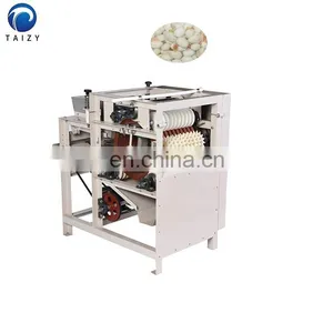 Groundnut Peanut Red Skin Peeling Machine Wet Broad Bean Peeling Machine thumbnail-6