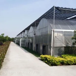 Multi Span PE Film Agricultural Greenhouse thumbnail-1