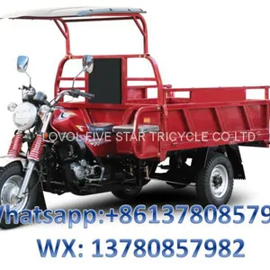 Gasoline Tricycle Cargo Loader Lovol Three Wheeler Mali Ethiopia Ghana Bukina Faso Tanzania Kenya Senegal Togo Benin Nigeira Mauritania Angola Burundi Chad Cameroon C ô te D'Ivoire Gabon Guinea Mozambique Rwanda Congo Uganda Zimbabwe thumbnail-1