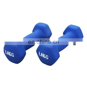 Workout Dumbbells Custom Color Plastic Coated Small Dumbbell Dip Plastic Dumbbells thumbnail-6