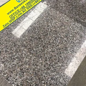 New G664 Granite Stone Manufacturer Supplier thumbnail-1