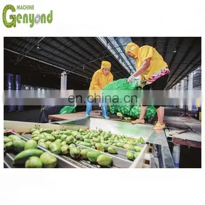 Shanghai Factory Complete Small Capacity Mango Puree Processing Plant thumbnail-1
