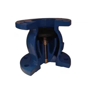 JIS/ANSI/DIN PN16 Cast Ductile Iron Flange Check Foot Valve With Stainless Steel Filter Water Pump thumbnail-5