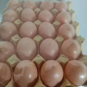 STANDARD POF SHRINK FILM thumbnail-3