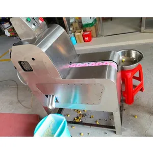 Cherry Dates Wholesale Small Automatic Dates Pitting Machine Olive Cherry Dried Plum Prunes Pitter Stones Removing Machine Date Palm Corer Apricot Plum thumbnail-4