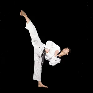 Multi-functional Elastic Rope for Taekwondo, Yoga, Body Shaping, Boxing Training, Side Kick, Radar Kick, Resistance Band thumbnail-5