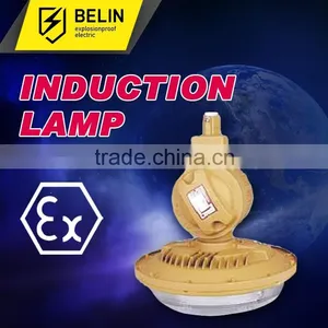 Maintence Free Energy Saving Explosion Proof Light thumbnail-1