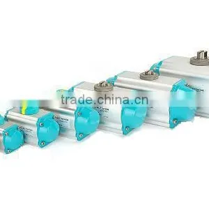 Pneumatic Actuator thumbnail-2