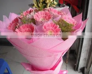 Red Hydrangea Fresh Cut Flowers Good Sellers From China thumbnail-6