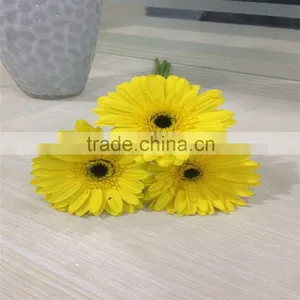 Wholesale Fresh Cut Flower China Gerbera For Decoration High Quality thumbnail-6