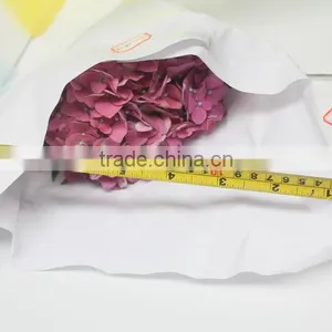 Fresh Hot Sale European Style Flower Hydrangea thumbnail-2