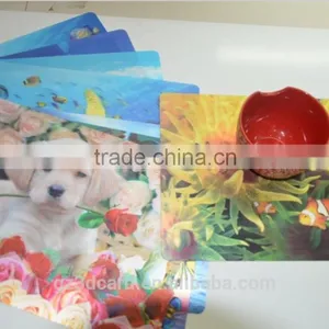Cartoon 3d Lenticular Table Mats 2015 Good Looking With PET Material thumbnail-4